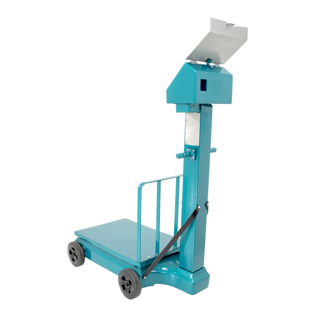 Balanza Electromecánica e-Accura SB53 de 500 Kilos