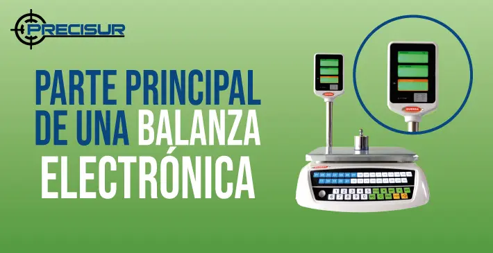 Parte principal de una balanza Electrónica
