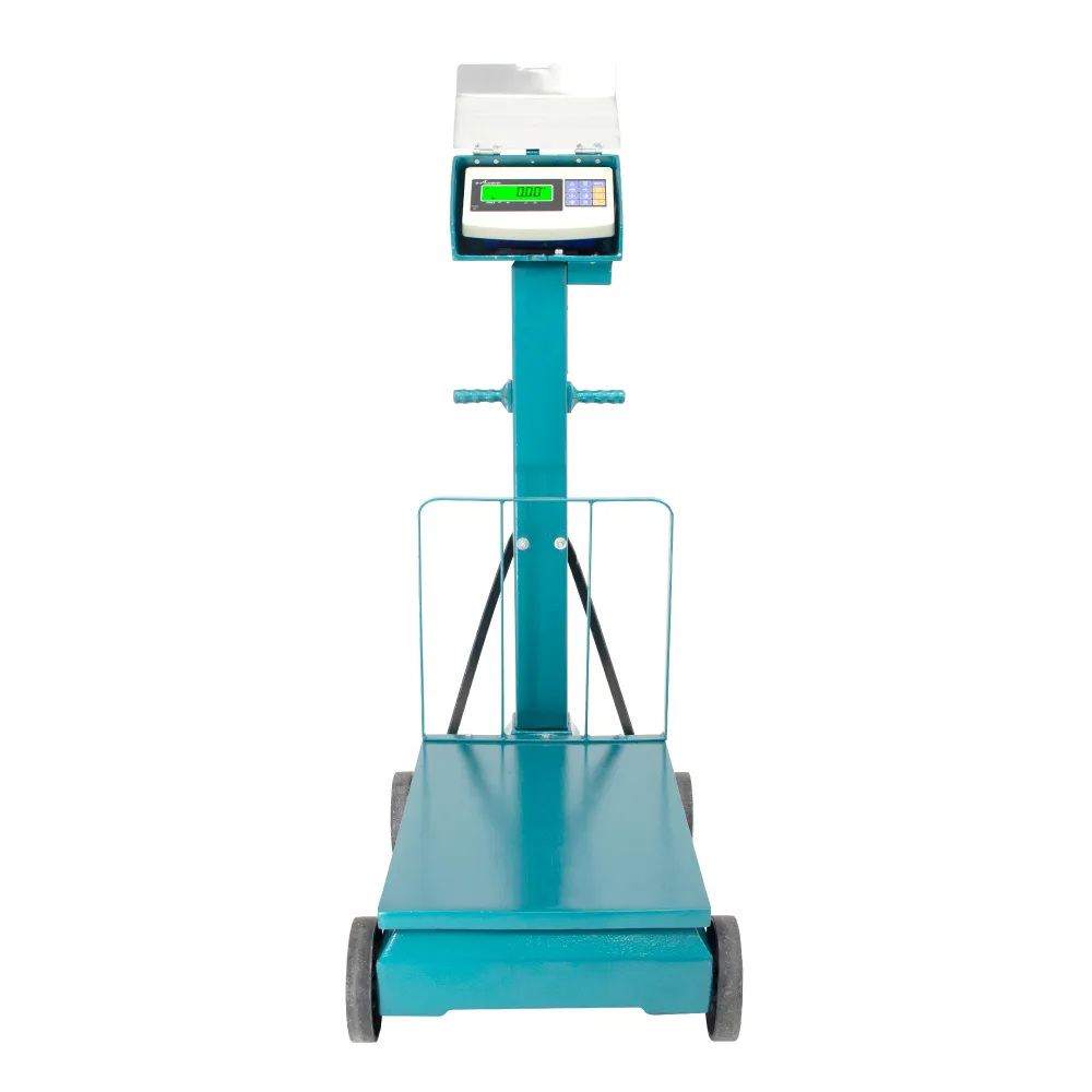 Balanza Electromecánica e-Accura SB53 de 500 Kilos