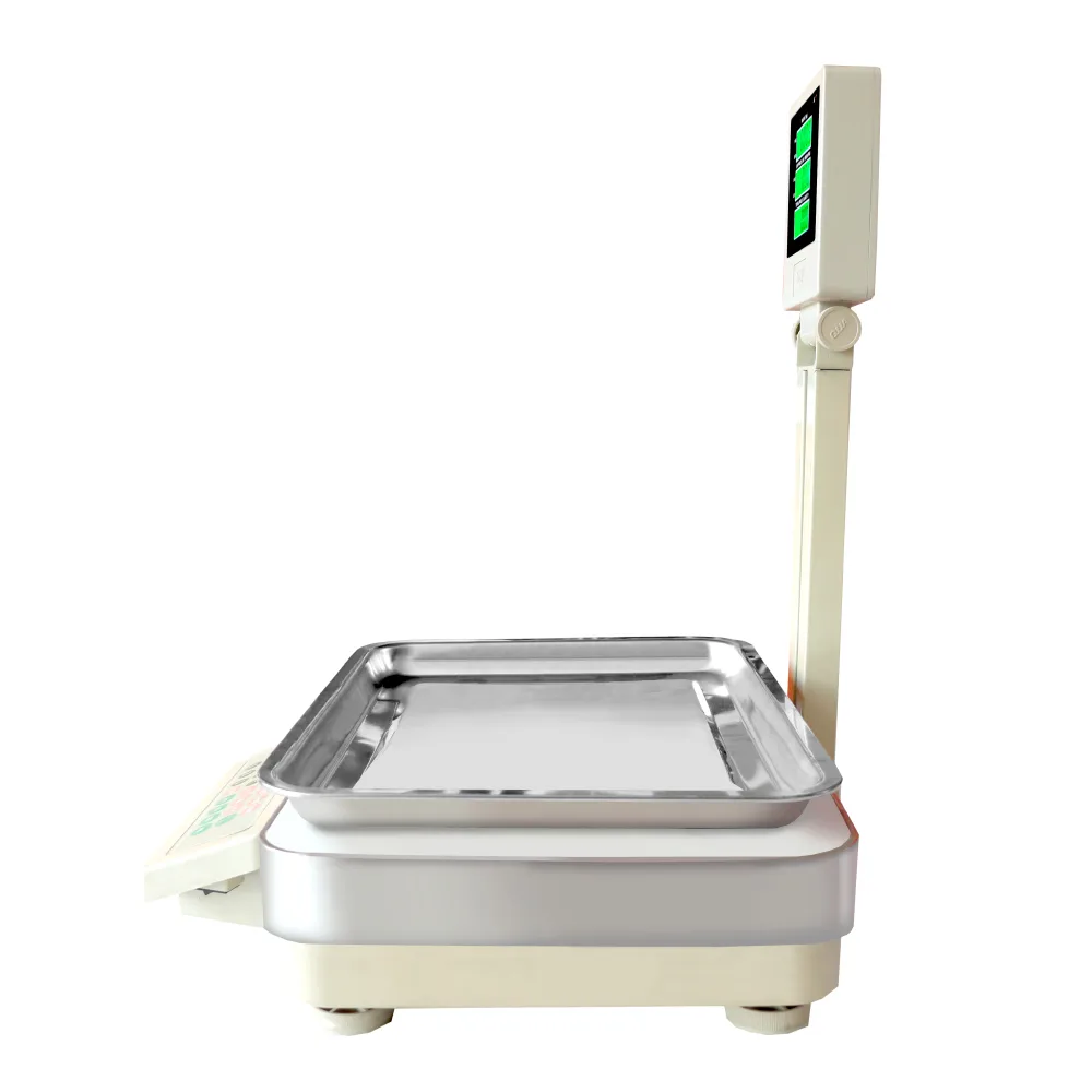 Calibración de Balanzas QUA CT de 60 Kilos