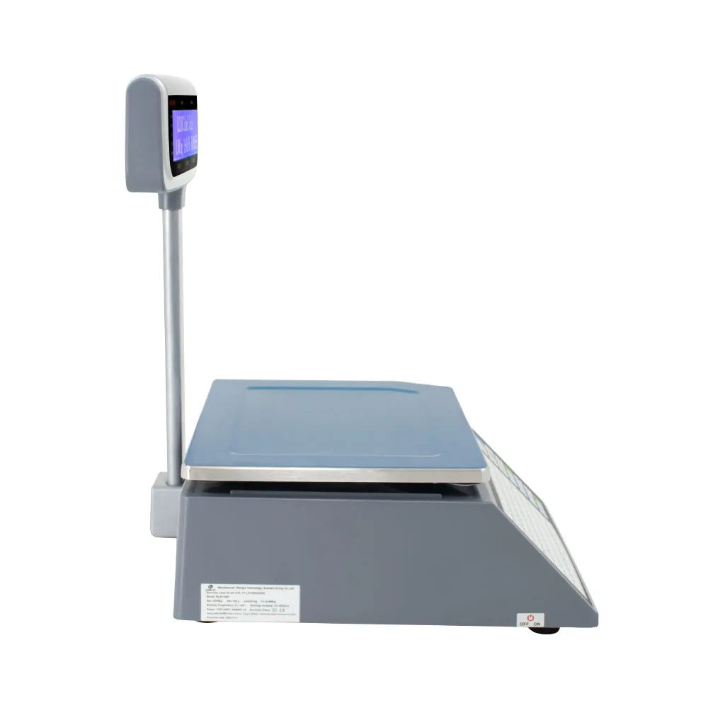 Balanza con Ticket RONGTA ANYPOS de 30 kilos