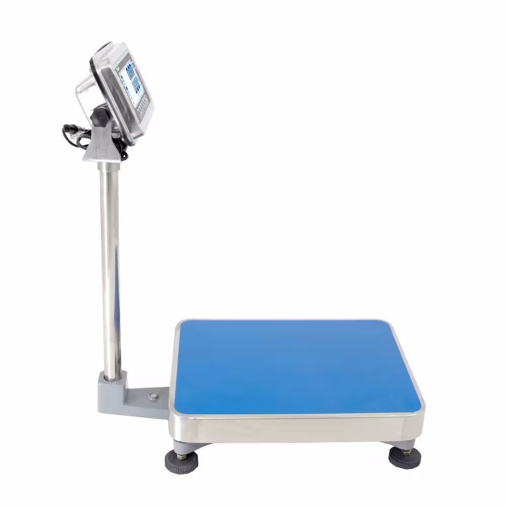 Balanza de Plataforma T-Scale BWS de 300 Kilos 60 x 46 cm