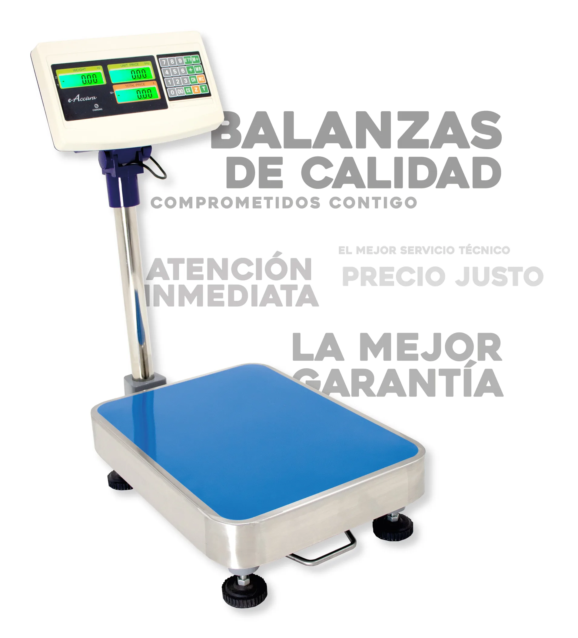 Balanzas de Plataforma